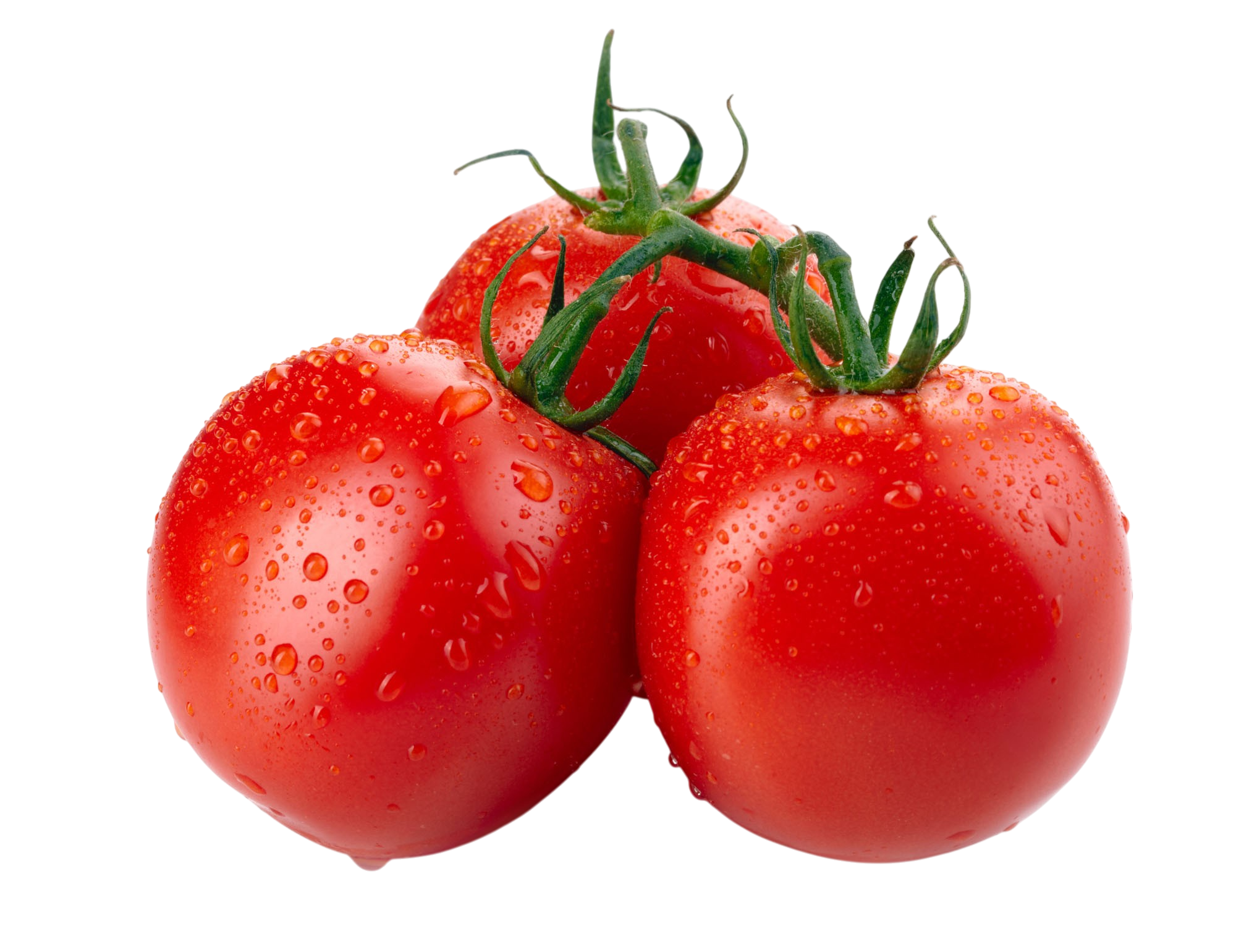 manola-tomato maonola-tomato