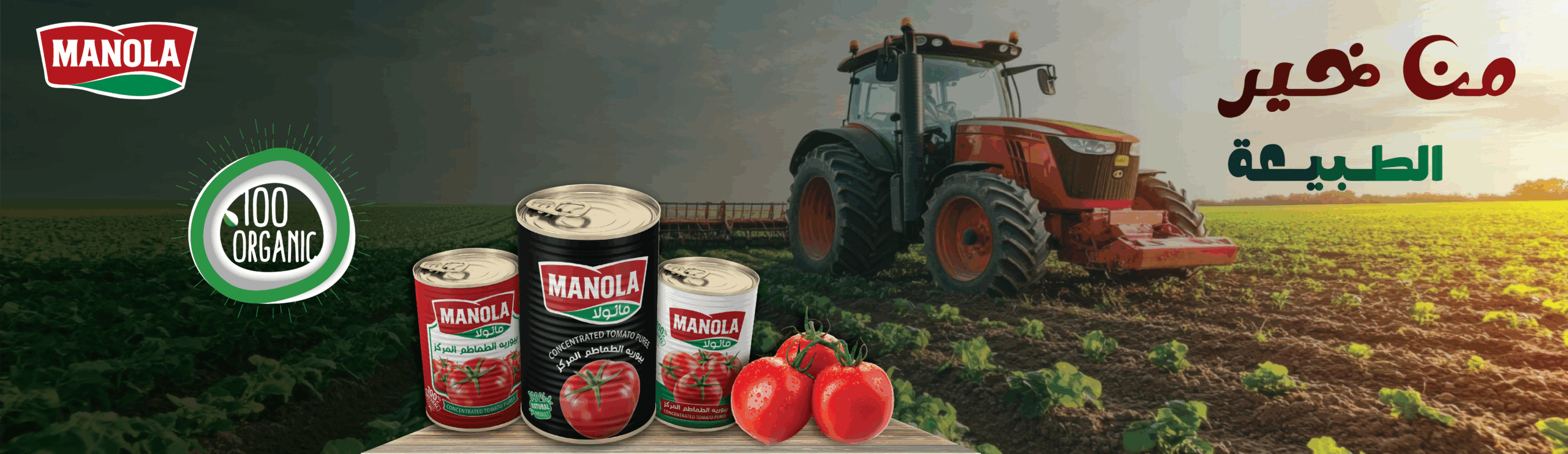 manola-tomato